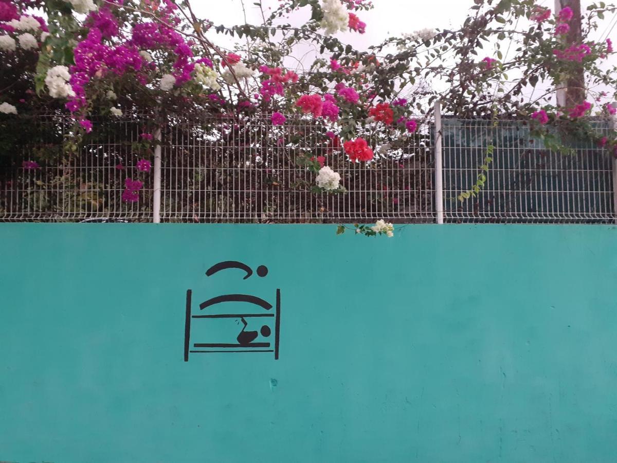Martinique Hostel Sainte-Luce Εξωτερικό φωτογραφία